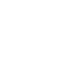 2009