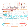Slow Runners Club 9
