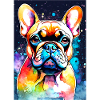 Bulldog French Bulldog