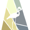 Flamants roses exotiques