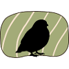 Bird Wings Bird Illustration