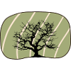 Botanical Botany Botany