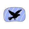 Animal Birds Bird