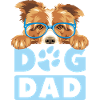 Border Collie dog DAD