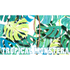 Tropical monstera