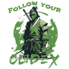 Follow your codex