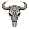 Bull Skull