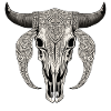 Bull Skull