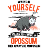 Opossum Gift Possum Marsupial