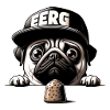 Pug