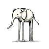 skinny elephant