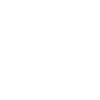 NO! Keine Nazis!