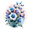 Bellflower drawn