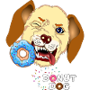 Dog bites donut