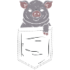 Schwein in Tasche Brusttasche