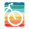 Retro MTB