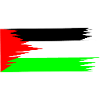 Palestine Flag