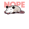 Non, pas aujourd’hui, opossum