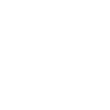 King of Chess