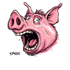 Cochon choqué