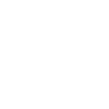 Forain foraine