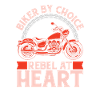 Motorcycle Biker Motorbike