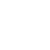 Giant Panda Panda Bear