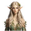 Beautiful elf/elf