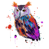 Hibou aquarelle