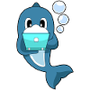 Dolphin Laptop