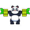 Panda Bodybuilder Haltère Musculation