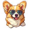 Hundi wears sunglasses :)