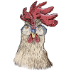 Chicken, rooster with glasses
