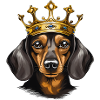 Dachshund