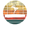 Sunset High Jump Silhouette