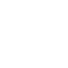 Zebra white