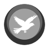 Animaux, Voler, Volée D’Oiseaux
