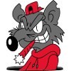 Rat