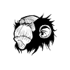 IRON MONKEYS CALISTHENICS