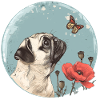Pug with butterfly