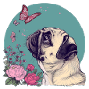 Pug and Butterfly