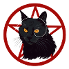 Gato Loco 01