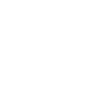 Elegant eagle on huge wings
