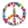 PeaceFlowers