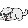 Cute dog