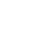 Master's Degree