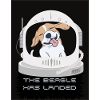 The Beagle has Landed