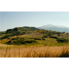 Tuscany