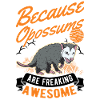 Because possums are freaking awesome
