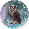 Fabulous owl illustration magic background